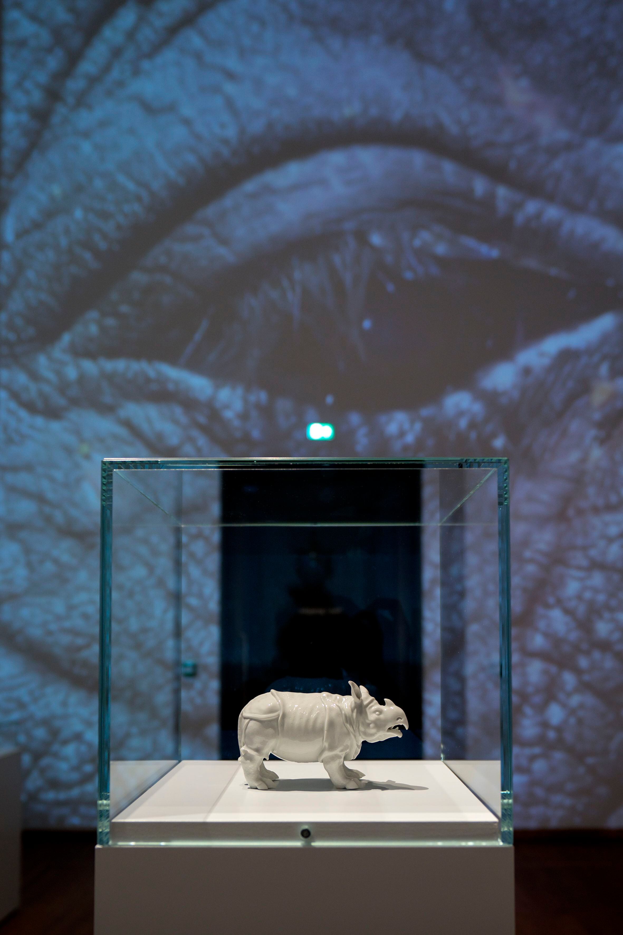 Exposición sobre la hembra de rinoceronte Clara en el Rijksmuseum (Ámsterdam).