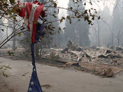 Una bandera de Estados Unidos cuelga de la rama de un árbol en una de las zonas incendiadas, en California.