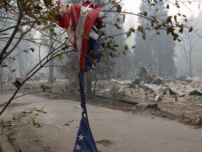 Una bandera de Estados Unidos cuelga de la rama de un árbol en una de las zonas incendiadas, en California.