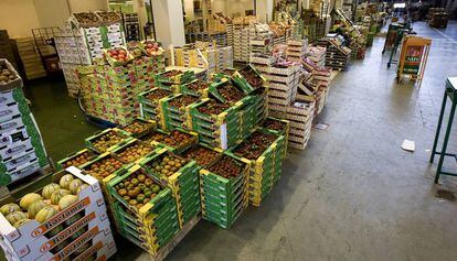 Mercat Central de Fruites i Hortalisses a Mercabarna.