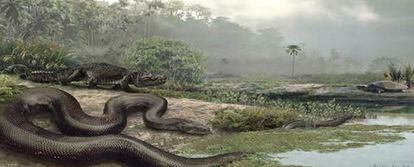 Recreación de la serpiente 'Titanoboa Cerrejonensis'