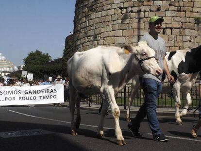 Concentraci&oacute;n en Lugo contra el bajo precio de la leche esta semana.