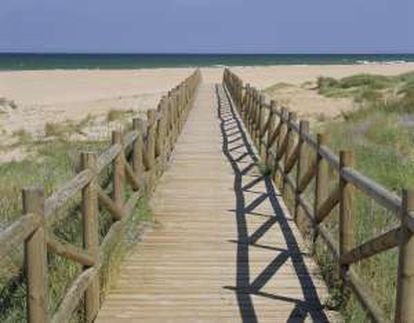 Acceso a la playa de l’Ahuir, en Gandía (Valencia).