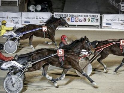 Hipódromo de Son Pardo en Palma de Mallorca en 2013.