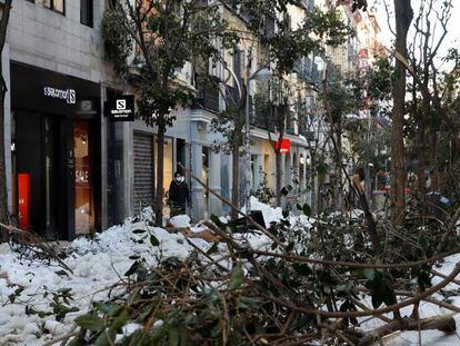 Árboles dañados en la calle Fuencarral de Madrid por culpa del temporal de nieve Filomena.