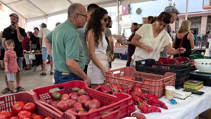 Feria de Hortalizas antiguas e intercambio de semillas en Nigüelas (Granada) el pasado 11 de septiembre.