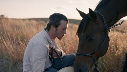 Trailer de la película 'The rider'