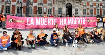 Voluntarios de El Refugio celebrando el viernes la decisión de la Asamblea de Madrid.