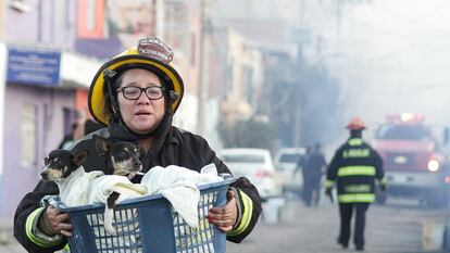MEX7348. AGUASCALIENTES(MÉXICO), 20/10/2022.- Una mujer del cuerpo de Bomberos traslada unos perros en el lugar donde un tren embistió un carro tanque cargado con gasolina en la ciudad de Aguascalientes (México). Un tren embistió este jueves a una pipa (carro tanque) de una empresa privada luego de que el camión cisterna intentó ganarle el paso, en un cruce vehicular y de ferrocarril en la ciudad de Aguascalientes, capital del estado del mismo nombre, centro del país. EFE/ Sebastián López
