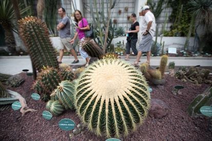 Exposición de cactus en el Jardín Botánico.