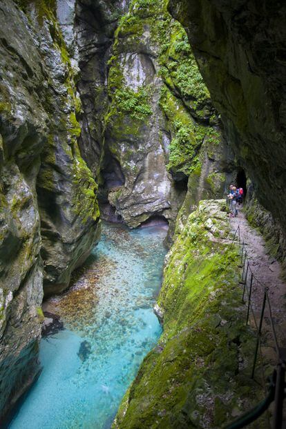 El acceso al  cañón de Tolmin  es también la entrada al famoso parque nacional del Triglav, una zona estupenda para el senderismo. Si en este angosto desfiladero —cuyas paredes en algunos puntos no distan sino pocos metros— murmura el agua azul turquesa del Tolminka, en los abruptos acantilados predomina un verde extraordinariamente frondoso e intenso. Hay diversas pasarelas de madera y unas cuantas escaleras. También todo un sistema de cavernas, entre ellas la cueva de Zadlaska, o gruta de Dante. El punto culminante es un manantial de aguas termales que invita al relax