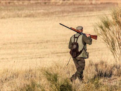 Castilla y León blinda la caza por ley