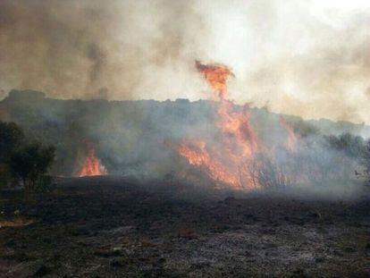 Imagen del incendio publicada en Twitter por el Equipo de Voluntarios Digitales en Emergencias (@VOSTmadrid).