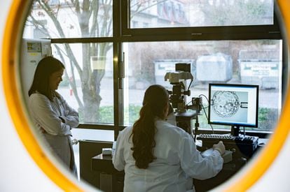 Unas investigadoras en salud reproductiva analizan un óvulo en Alemania, en 2020.