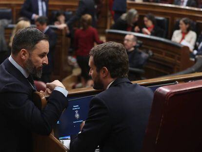 Santiago Abascal (a la izquierda) y Pablo Casado charlan en el hemiciclo durante la sesión constitutiva de las Cortes.