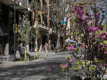 En la imagen el nuevo arbolado urbano de la Calle Rocafort entre las Calles Diputació y Consell de Cent de Barcelona