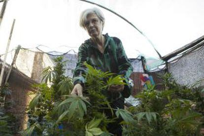 Alicia Castilla, que fue detenida en Montevideo en enero de 2011 por haberse hallado en su casa 29 plantas de marihuana, en Buenos Aires.