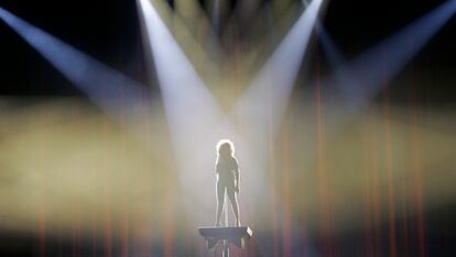 Tina Turner actúa en The Sprint Center, en Kansas (EE UU), en 2008.