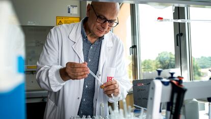 Massimo Castellari, investigador del Instituto de Investigación y Tecnología Agroalimentaria (IRTA) de Monells (Girona) y experto en nuevas proteínas, este miércoles en el laboratorio de análisis cromatográfico del centro.