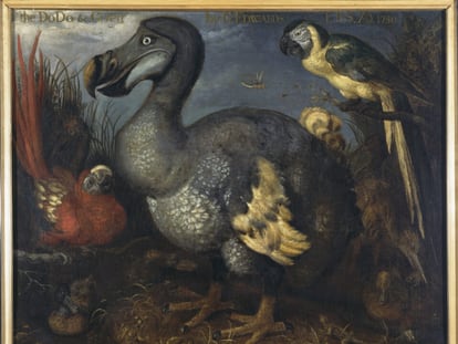 Una de las obras de Roelant Savery de la exposición: 'The Dodo and Other Birds', 1630.