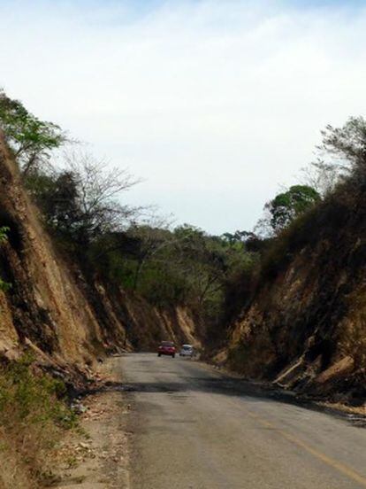 La curva en la que se produjo la masacre en Jalisco