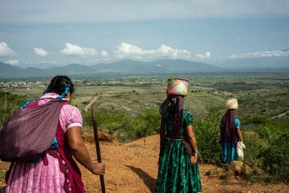 Mujeres zapotecas caminan por la comunidad de San Marcos Tlapazola, en Oaxaca, en agosto de 2019.