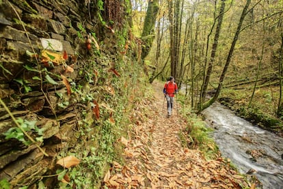 Ruta senderista en la reserva de la biosfera de Los Oscos, en Asturias.