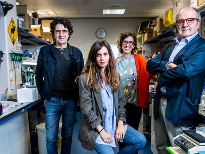 Desde la izquierda, los investigadores Marcos Malumbres, Carolina Villarroya, Sandra Rodríguez y Miguel Urioste, en un laboratorio en el Centro Nacional de Investigaciones Oncológicas, en Madrid.