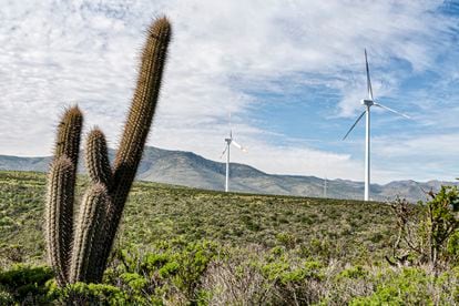 Wind farm in La Serena (Chile).