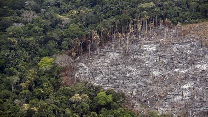 Terrenos deforestados en el parque nacional natural Tinigua, en el departamento del Meta (Colombia), el 3 de noviembre de 2020.