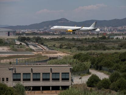 Un avión sobrevuela la zona natural de la Ricarda, junto al aeropuerto de El Prat de Barcelona.MASSIMILIANO MINOCRI / EL PAÍS