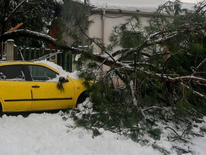 Un árbol derrumbado sobre un coche, tras la nevada fruto del temporal Filomena, en Pozuelo de Alarcón (España), el 10 de enero de 2021.