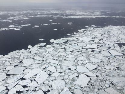 Témpanos de hielo rotos en la Antártida el 27 de octubre de 2016.