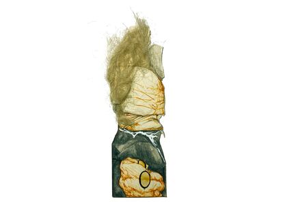 Schopenhauer visto por Sciamarella.