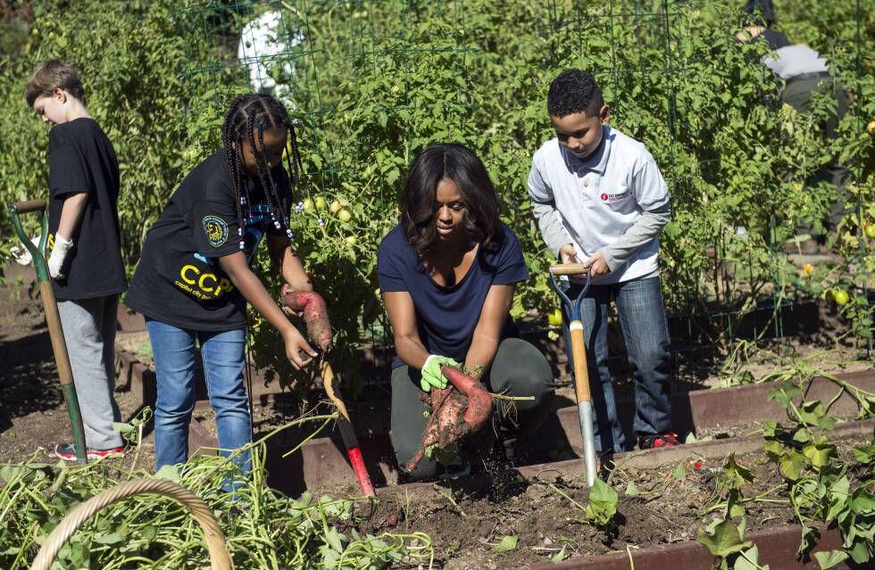 Michelle Obama trabajando en el huerto que se instaló en la Casa Blanca durante el mandato de su marido.