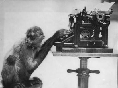 Un mono con una máquina de escribir