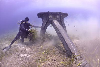 Un submarinista comprueba los destrozos de las anclas en el bosque de posidonia.