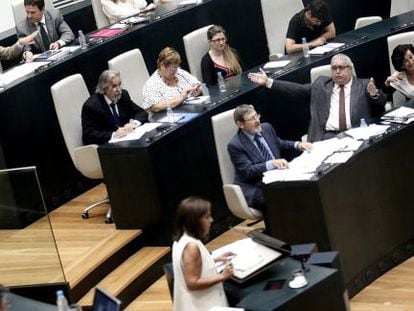 Ana Botellla en el pleno del Ayuntamiento de Madrid.