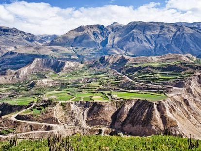 Andener&iacute;as, laderas transformadas en terrazas con riego que dan nombre a los Andes, en el peruano valle del Colca. 