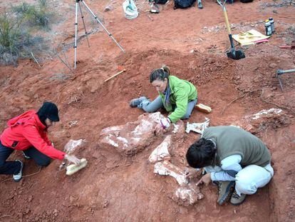 La Dra. Cecilia Apaldetti (derecha) con investigadoras del Museo de Ciencias Naturales (IMCN-UNSJ) en la extracción del dinosaurio
 'Ingentia Prima' en los Niveles Triásicos de Balde de Leyes, Provincia  de  San Juan, Argentina.