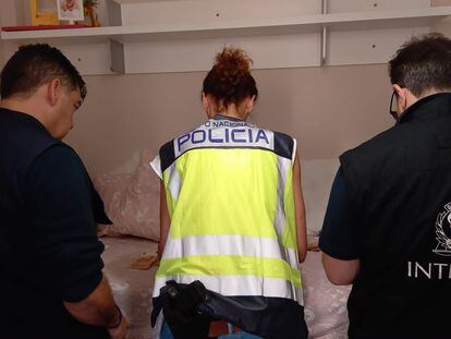 Agentes de la Policía Nacional, Europol e Interpol, durante la Operación Conífera, en una imagen facilitada por Interior.