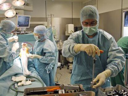 Operaci&oacute;n en un hospital de Marsella (Francia).