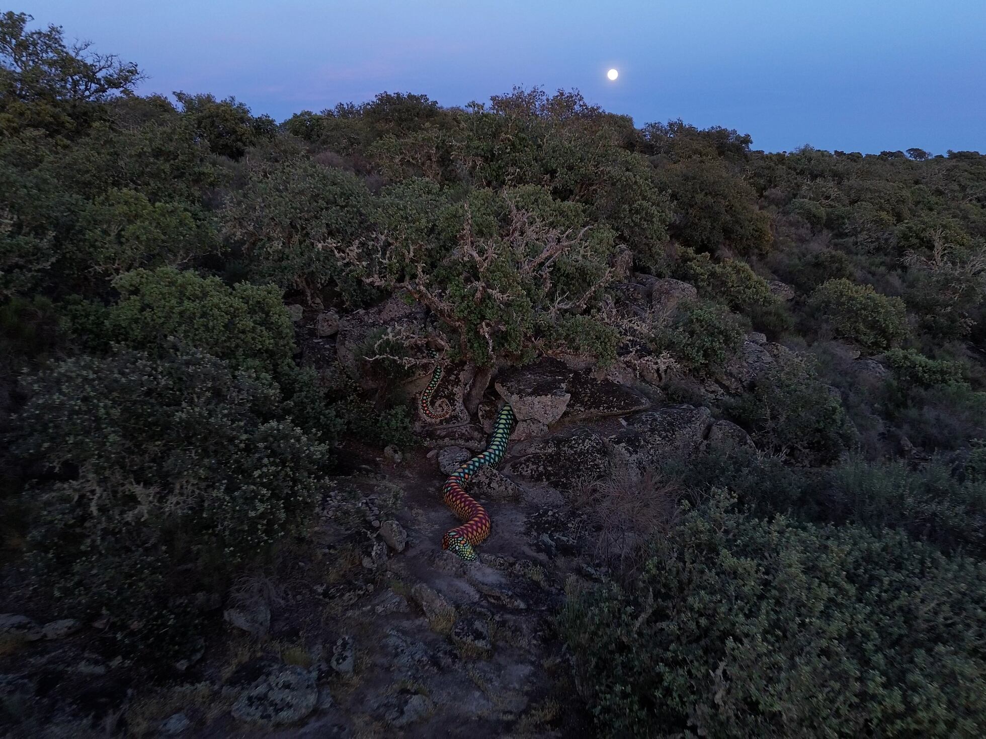 Recorrido de misterio por un bosque para conocer historias de