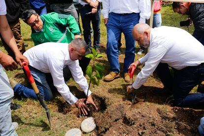 Former soldiers plant a sapling in Usme, this Tuesday.