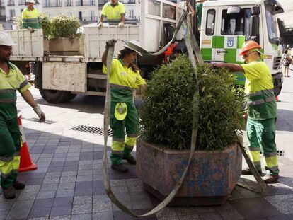 Operaris de Madrid col·loquen jardineres al carrer de Montera.