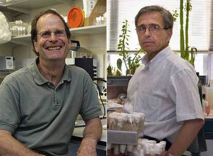 Los biólogos Peter Lawrence (izquierda) y Ginés Morata, premiados con el Príncipe de Asturias.