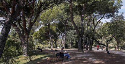 Un hombre lee sentado en un banco del parque de la Dehesa de la Villa.