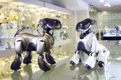 Dos perros robóticos en el Museo del Robot de Madrid.
