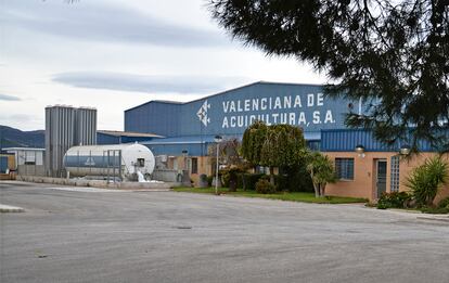 Valenciana de Acuicultura