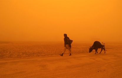 Un hombre con su vaca en medio de una tormenta de arena en la provincia afgana de Ghazi en 2005.